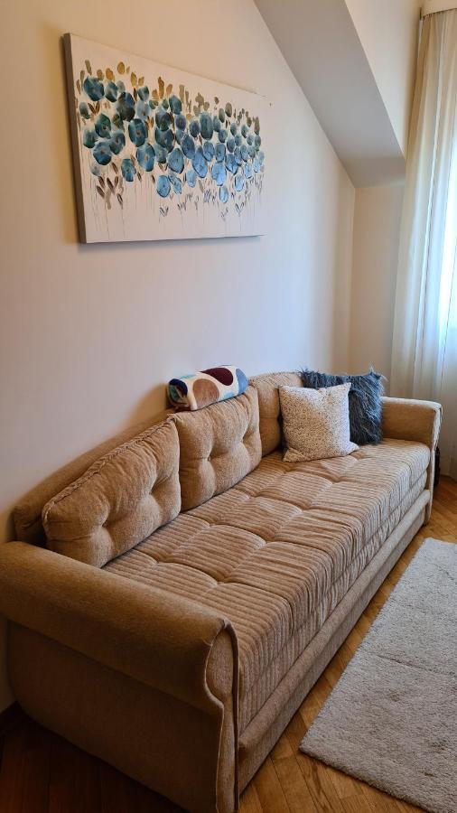 The View Apartment Vracar Belgrade Luaran gambar